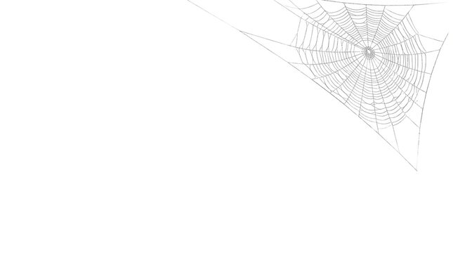 Halloween Minimalist Bat Silhouettes Over Spooky Spider Web Background