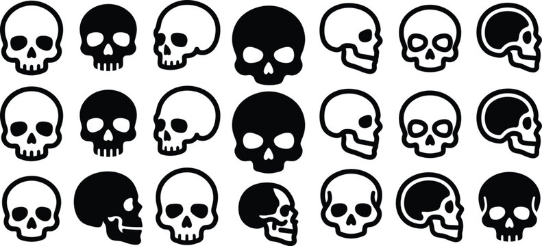 Set of black skulls with transparent background includes front, side, and three-quarter views of human skulls.