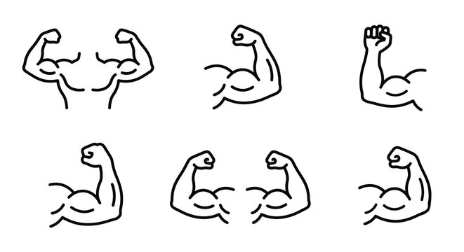 Bicep icons represent various muscular arm positions in a set of six distinct line art designs that provide versatile options for sports apps or fitness equipment manufacturing branding needs today.