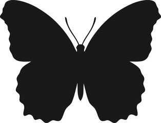 Butterfly Silhouette Against A White Background Black And White Graphic © Nowroz