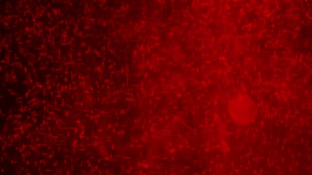 Dense Effervescent Micro Bubbles Drifting in Crimson Red Liquid - Soft Texture Motion Background⁠