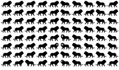 Fototapeta premium Lion Walking Silhouette Vector Set Powerful Jungle King Logo Collection