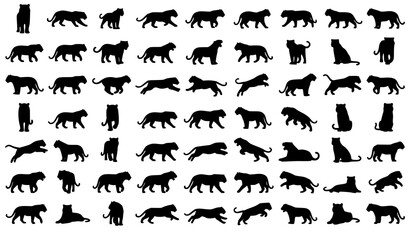 Fototapeta premium Tiger Silhouette Vector Set Jungle Predator Wildlife Logo Collection