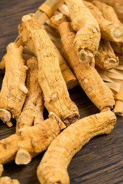                     American ginseng, a medicinal herb from the high plateau region           