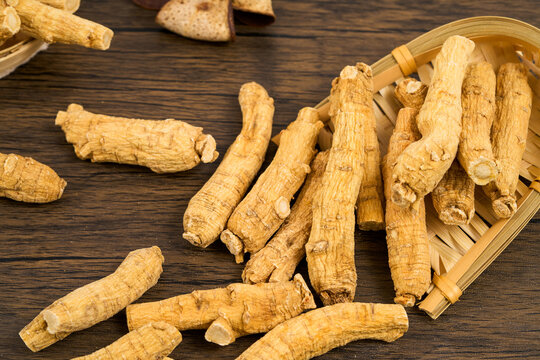                     American ginseng, a medicinal herb from the high plateau region           