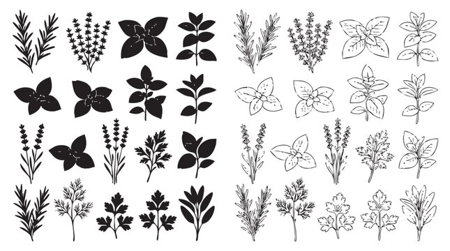 herbs silhouette with line art vector icon set silhouette witn line art vector icon