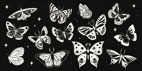 Collection Of White Butterflies Vintage Style Vector Illustration On Black Background © Provhash