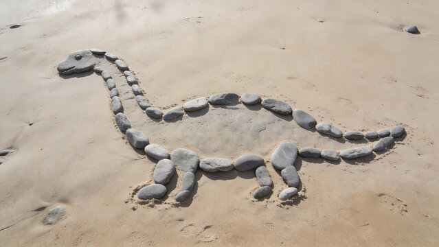 Outline of a plesiosaur made from grey river stones on a sandy beach.
