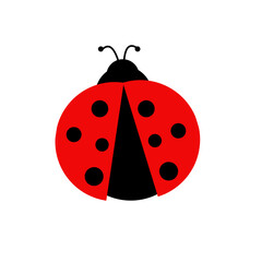 Obraz premium 1807 Ladybug - 4