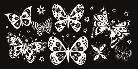 White butterflies and stars a vector illustration on a black background © Bipul