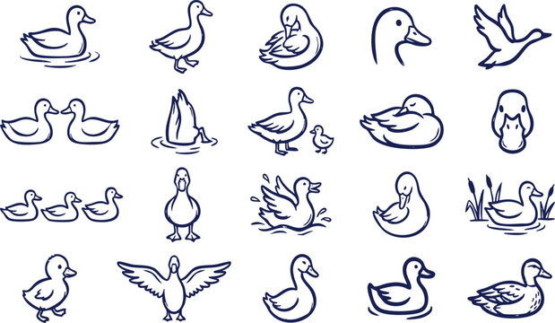 Duck line art vector illustration set, minimalist waddling, swimming, and flying ducks icons pack