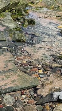 Static camera shot. Max 150 characters
Gentle ripples shimmer across a coastal rock pool, capturing tranquil seawater, natural textures and peaceful seaside scenery in close-up. Vertical panning shot