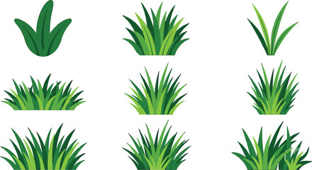 Fototapeta premium Set of green grass patches and lawn elements isolated on white background in flat vector style