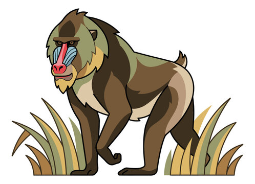 Cartoon illustration of a mandrill depicting a colorful primate standing in grass for wildlife and nature design