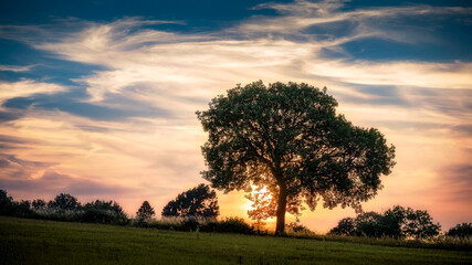 Wschód słońca nad polami © Robert Sobucki