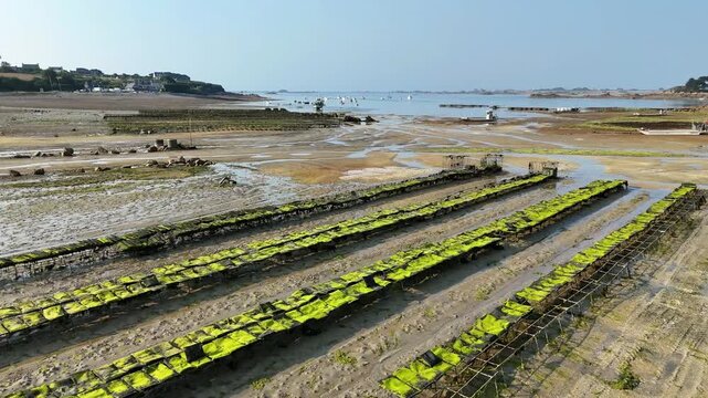 Survol  des parcs &agrave; hu&icirc;tres en Bretagne