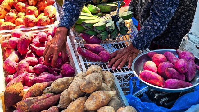 A local vendor weighs fresh sweet potatoes for customers at a traditional open-air market stall, highlighting daily commerce and fresh produce. 4K