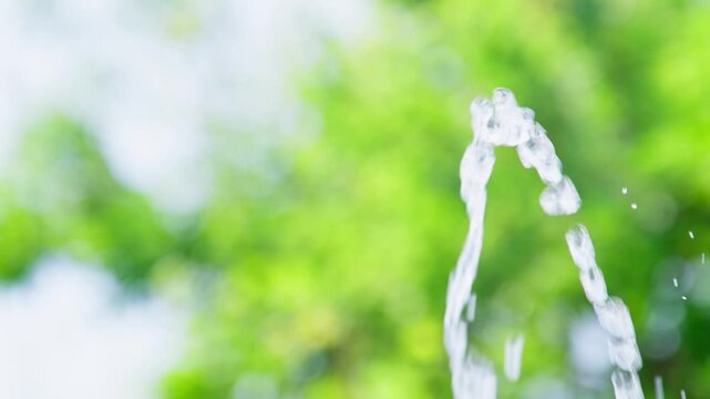 水と緑の風景