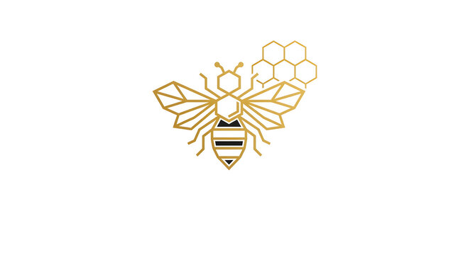 Minimalist geometric honey bee logo design with golden outline and honeycomb cells, elegant line art insect illustration isolated on a white background.