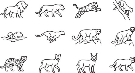 Collection of black and white line showcasing different species of wild cats in various poses and natural behaviors and actions © RobiulIslam
