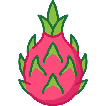 Whole pink dragon fruit illustration.