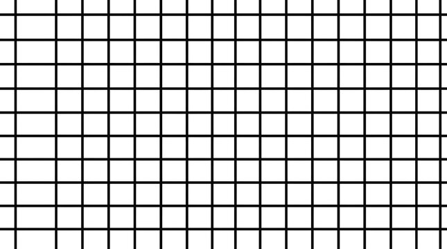 Minimalist black and white grid pattern with thin lines