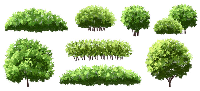 Vector of tree, grass or green shrub site view isolated on white background ,watercolor tree elevation for landscape concept,environment panorama scene,eco design,meadow for spring