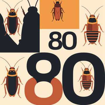 graphic illustration of various cockroaches alongside the number 80 ideal for pest control awareness or informational design