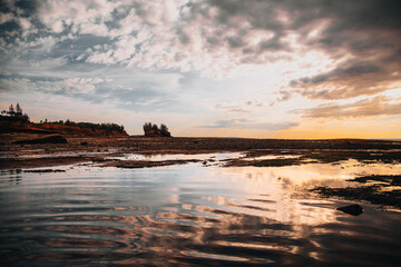 Naklejka premium Burncoat at low tide