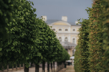 Naklejka premium Rundale, Latvia - July 18, 2026: Lush green hedges line a pathway leading to a historic building in the background, showcasing manicured gardens and architectural details