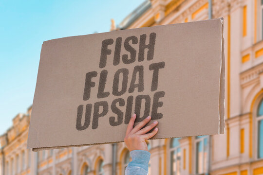 "Fish Float Upside" Low oxygen leads to fish kills. FISH. OXYGEN. KILLS. POLLUTION. WATER.