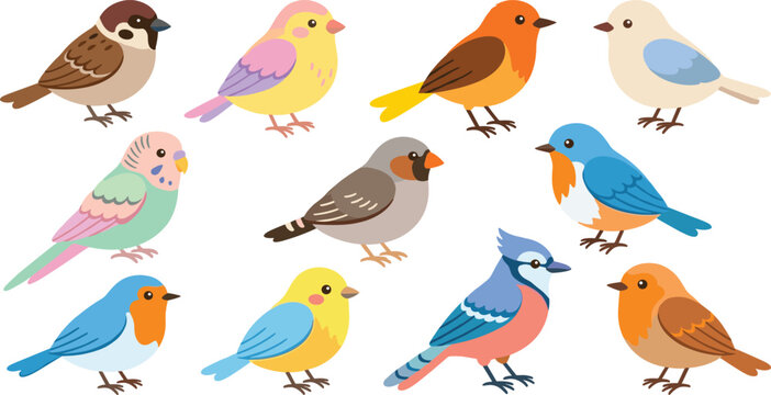Large collection of colorful cute cartoon birds and exotic garden species isolated on white background flat vector illustration elements set