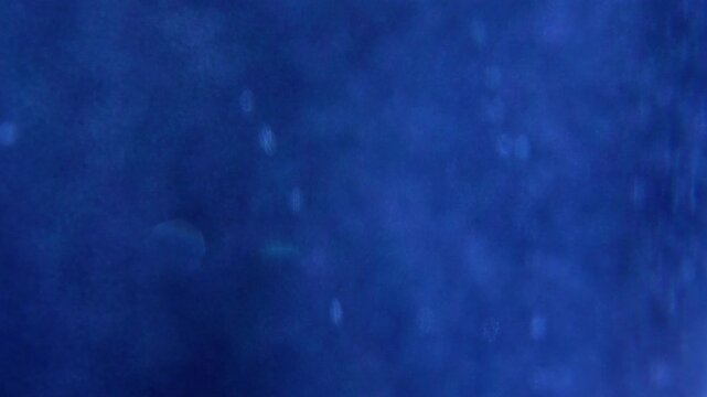 Fine Micro Bubbles Dispersing with Glowing Bokeh Orbs in Sapphire Blue - Ethereal Abstract Motion Background⁠