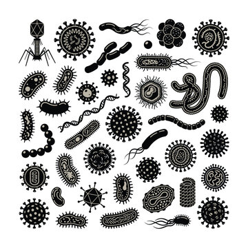 Set of Various Microorganisms Bacteria and Viruses Isolated on White Background