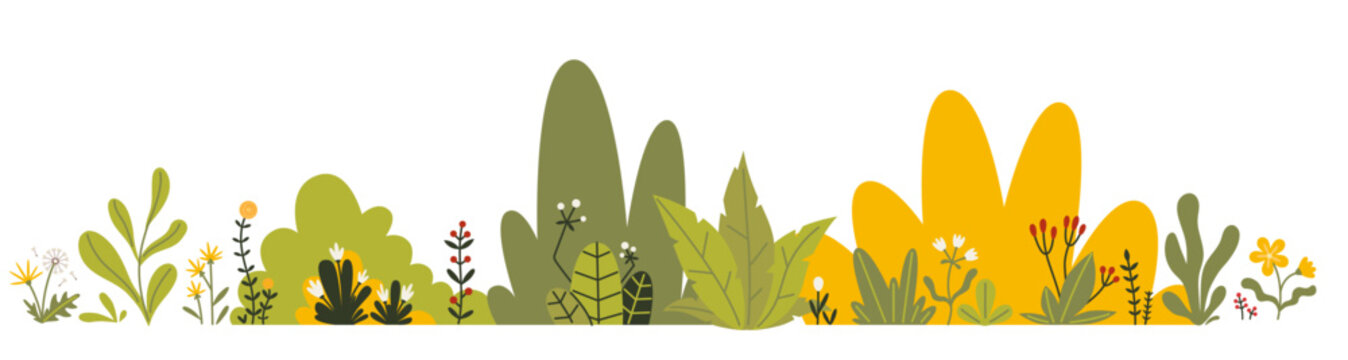 Decorative border with meadow plants, flowers and green foliage. Flat vector nature frame for spring and summer designs, invitations, banners and greeting cards