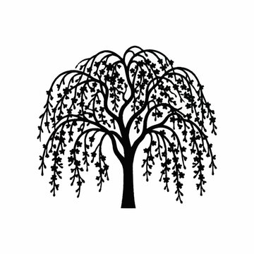 Weeping Willow Tree Silhouette.
