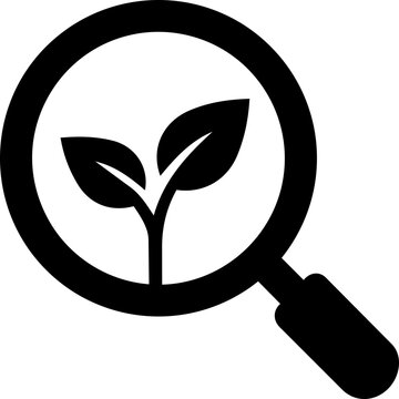 Black magnifying glass icon representing ecology and plant research with a clean minimalist design on white background