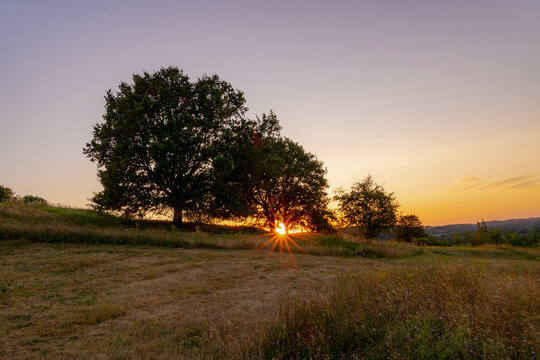 Summer landscape, The terrain hill countryside in Zuid-Limburg, Silhouette of tee on hillside in the evening during sunset in Gulperberg, Gulpen is a villages in Dutch province of Limburg, Netherlands