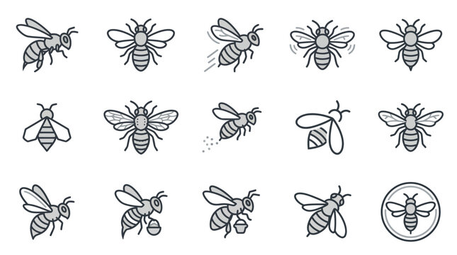 Large set of honey bee vector line icons.