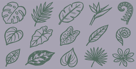 Collection of hand-drawn tropical plant leaves and flowers in a simple line art style. © Riki