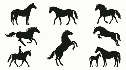 Fototapeta premium Horse silhouette collection featuring different breeds and poses including running jumping rearing walking and standing with foal and rider silhouettes for design.