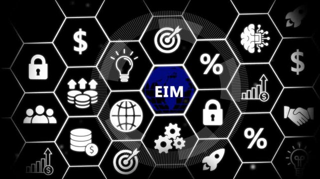 EIM in organization and business concept with consultant presenting icons of strategy,Exchange traded fund stock market trading investment financial concept.financial icons, 4k