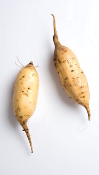 Yacon Roots on White.