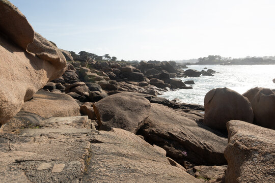 Heap of Ploumanac'h and Chateau de Costaeres iconic pink granite rock formation on C&ocirc;te de Granit Rose, Brittany. Massive balanced boulders creating natural sculptural monument on seashore, France