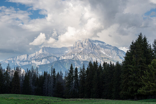 paysage avec for&ecirc;t et massif montagneux sous un ciel nuageux