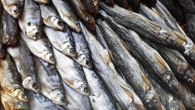 A selection of dried and smoked fish&mdash;a traditional beer snack. A close-up of freshly prepared fish delicacies, including Caspian roach, sabrefish, whitefish, and other varieties. Natural scale texture