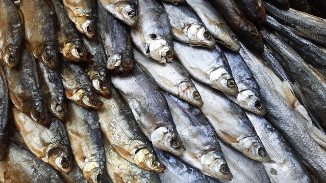 A selection of dried and smoked fish&mdash;a traditional beer snack. A close-up of freshly prepared fish delicacies, including Caspian roach, sabrefish, whitefish, and other varieties. Natural scale texture