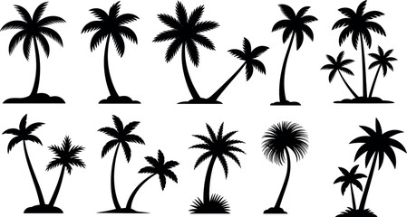 Fototapeta premium Palm tree vector illustration set with various tropical coconut trees silhouettes for summer beach vacation designs