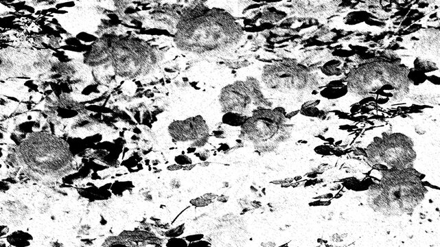 High contrast black and white floral texture background with grunge rose pattern