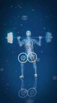 Conceptual 3D animation of an x-ray man performing a squat